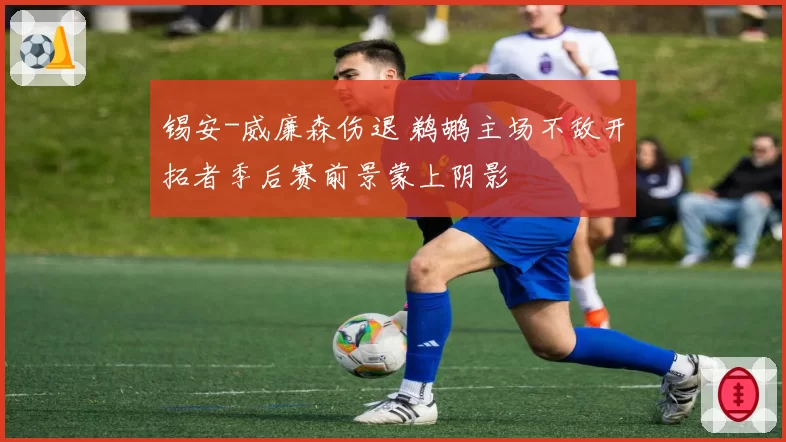 锡安-威廉森伤退 鹈鹕主场不敌开拓者季后赛前景蒙上阴影