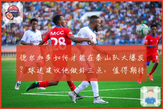 德尔加多如何才能在泰山队大爆发？球迷建议他做好三点，值得期待