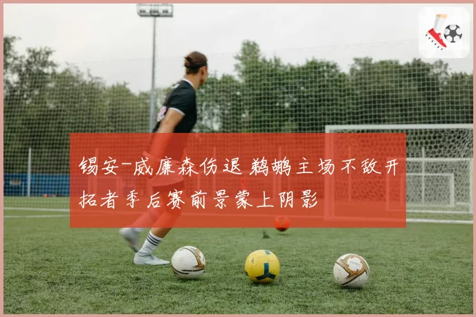 锡安-威廉森伤退 鹈鹕主场不敌开拓者季后赛前景蒙上阴影