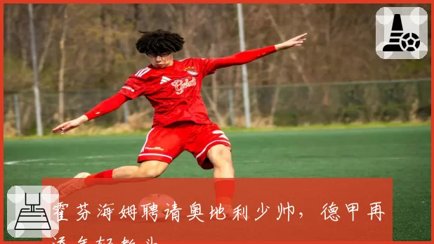 霍芬海姆聘请奥地利少帅,德甲再添年轻教头